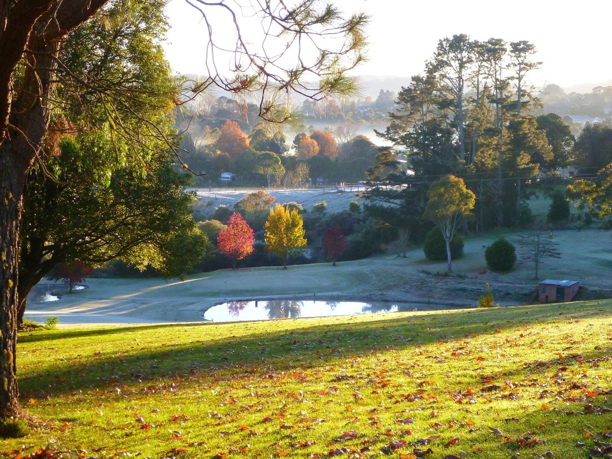 Lookout Mountain Retreat Μοτέλ Dorrigo Εξωτερικό φωτογραφία