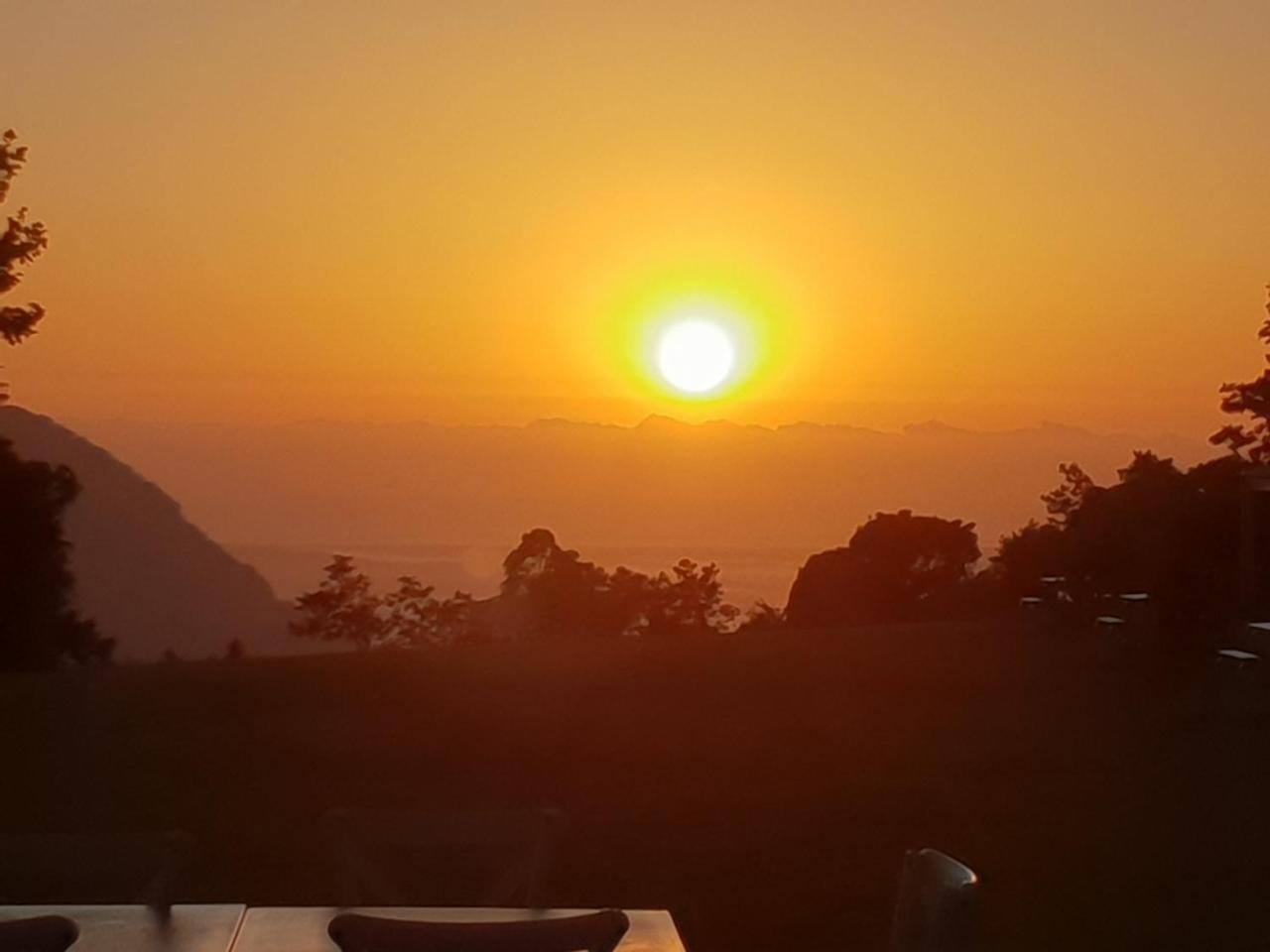 Lookout Mountain Retreat Μοτέλ Dorrigo Εξωτερικό φωτογραφία